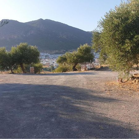 Villa El Mirador Алгодоналес Екстериор снимка